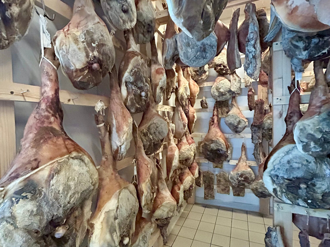 Limitless Albania-地拉那必去景点