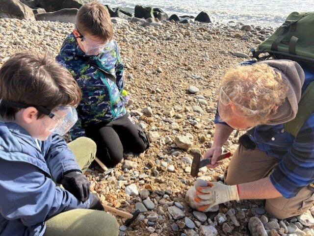 The Wobbly Fossiler-Charmouth必去景点