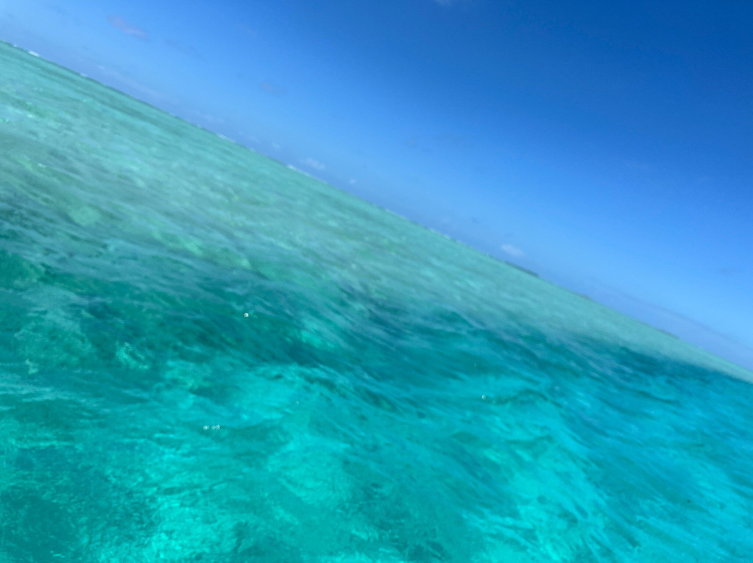 Slice Of Life-卓得多斯必去景点