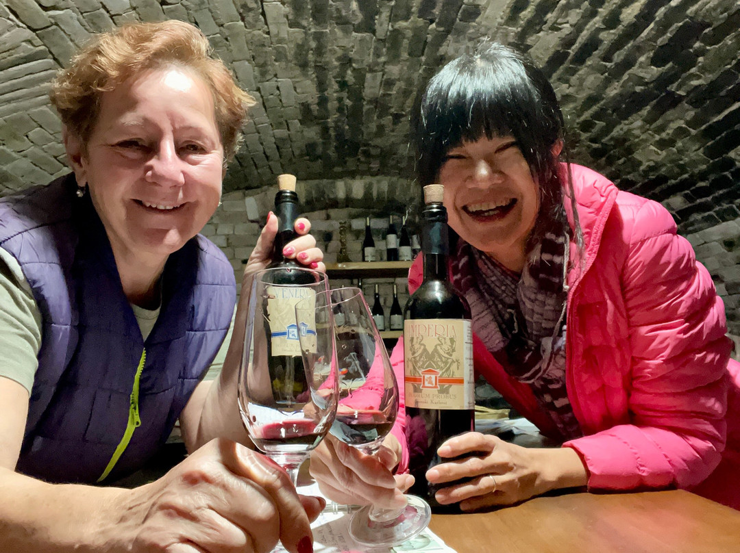 Podrum Probus-Sremski Karlovci必去景点