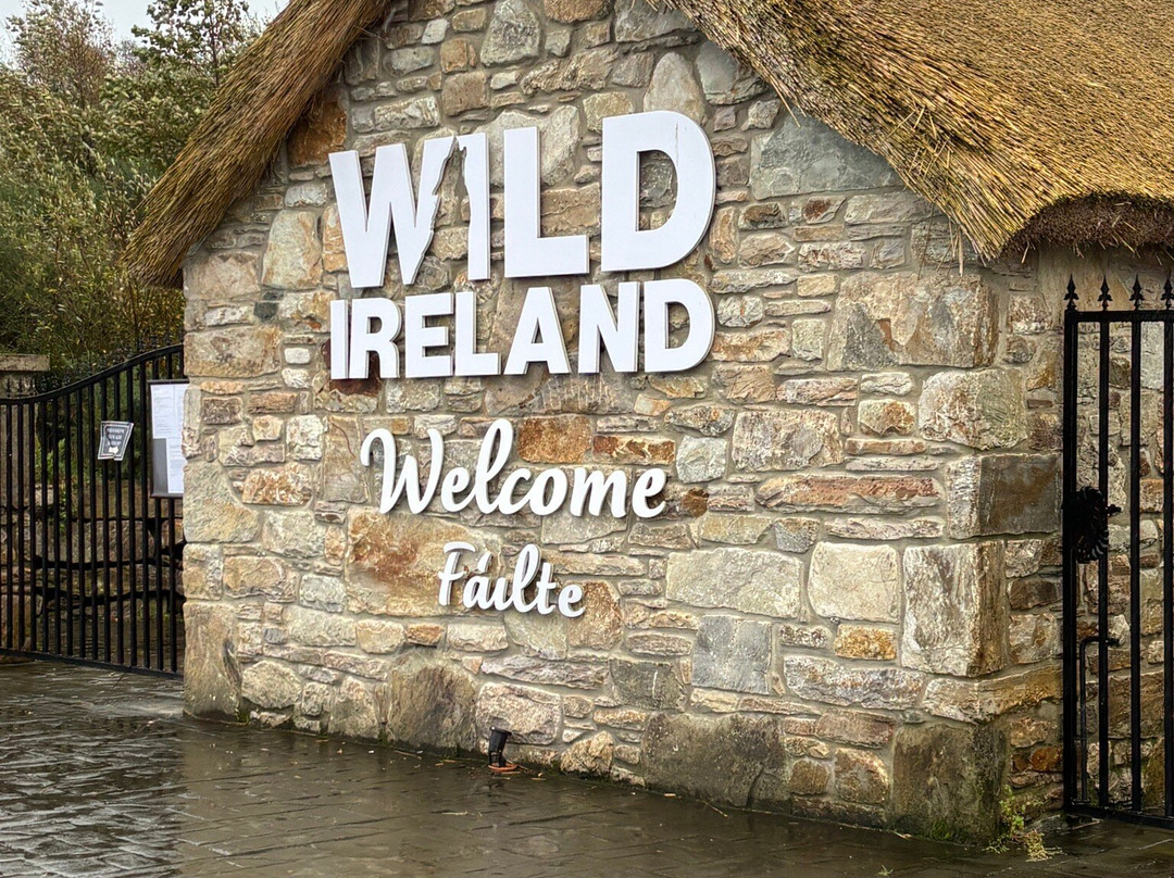 Wild Ireland-Burnfoot必去景点