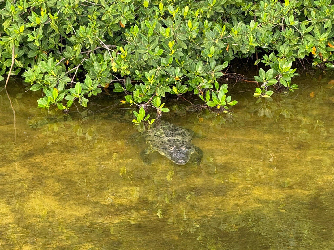 Santi Tour-普拉亚德尔卡曼必去景点