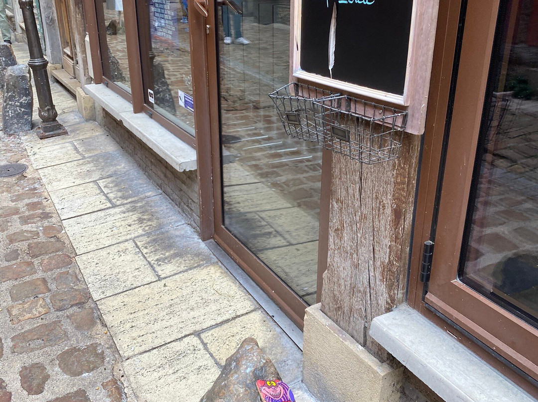 Ruelle des Chats-特鲁瓦必去景点