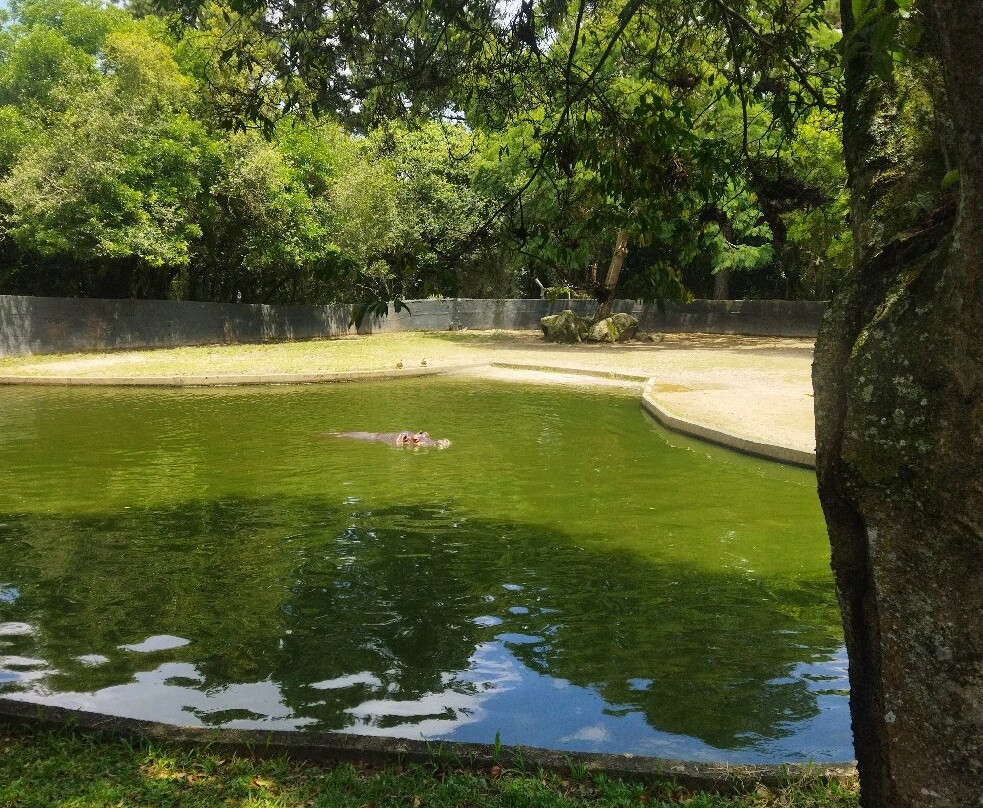Zoológico Municipal de Curitiba-库里提巴必去景点