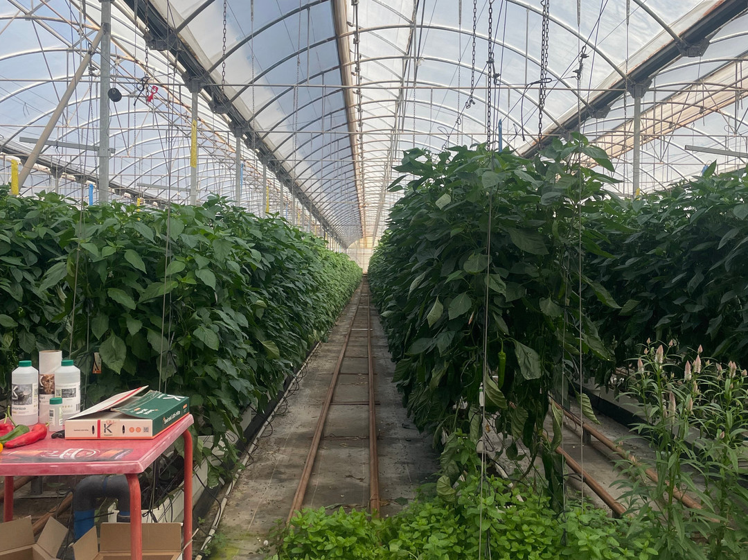 Clisol Turismo Agricola-艾尔艾吉多必去景点