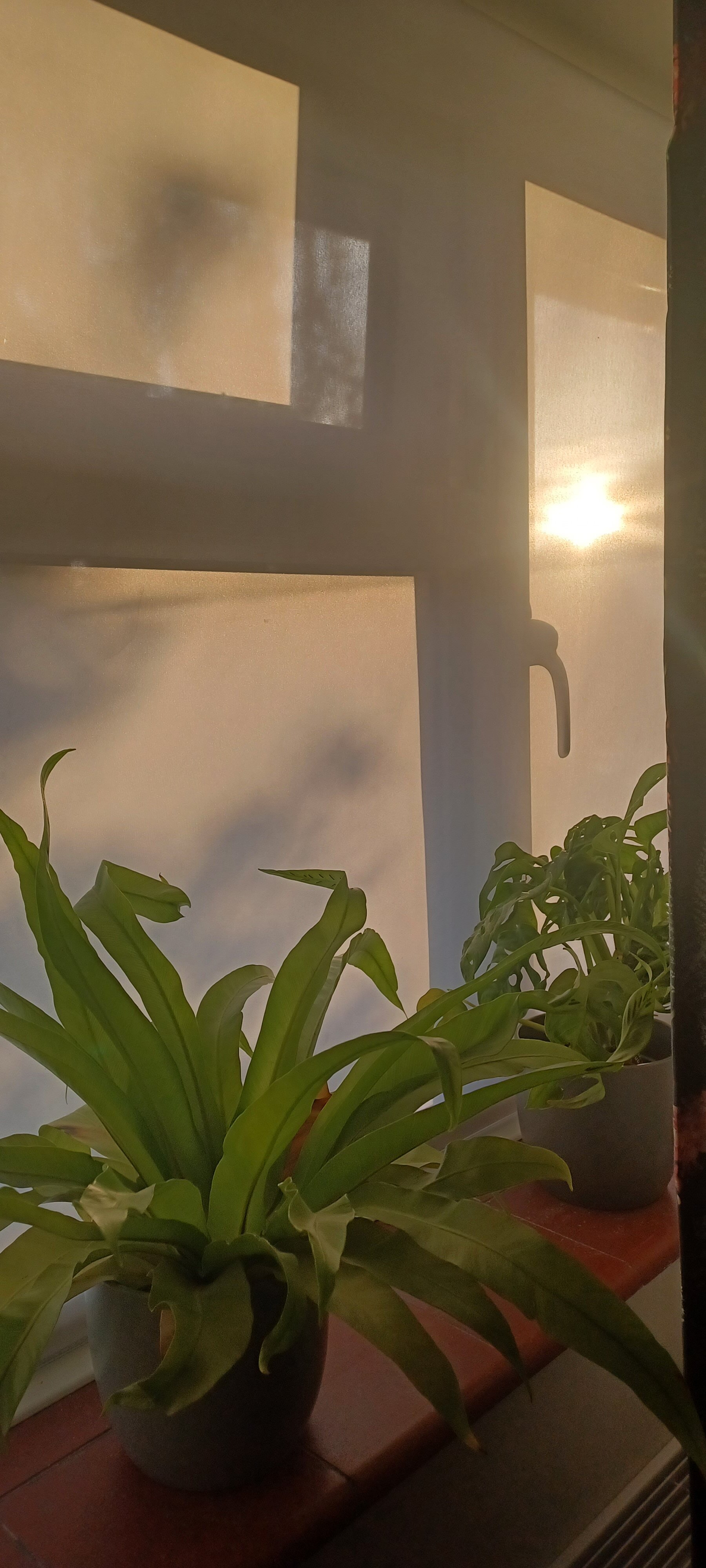 All Hallows Guesthouse-客卧