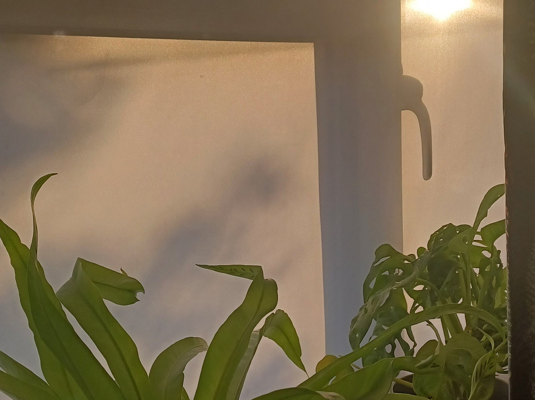 All Hallows Guesthouse主图