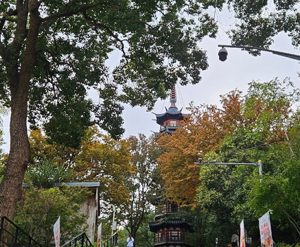 佘山天文台-上海市必去景点