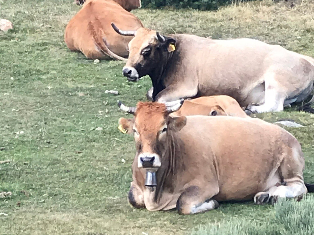 Lac des Bouillouses-东比利牛斯省必去景点