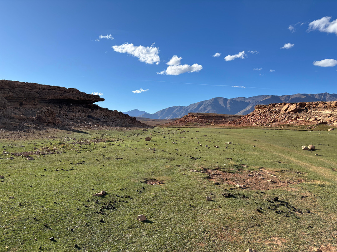 Mountain Desert Tours-马拉喀什必去景点