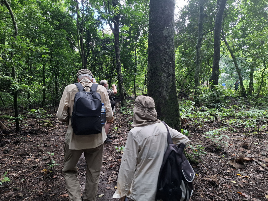 Ujung Kulon Ecotourism