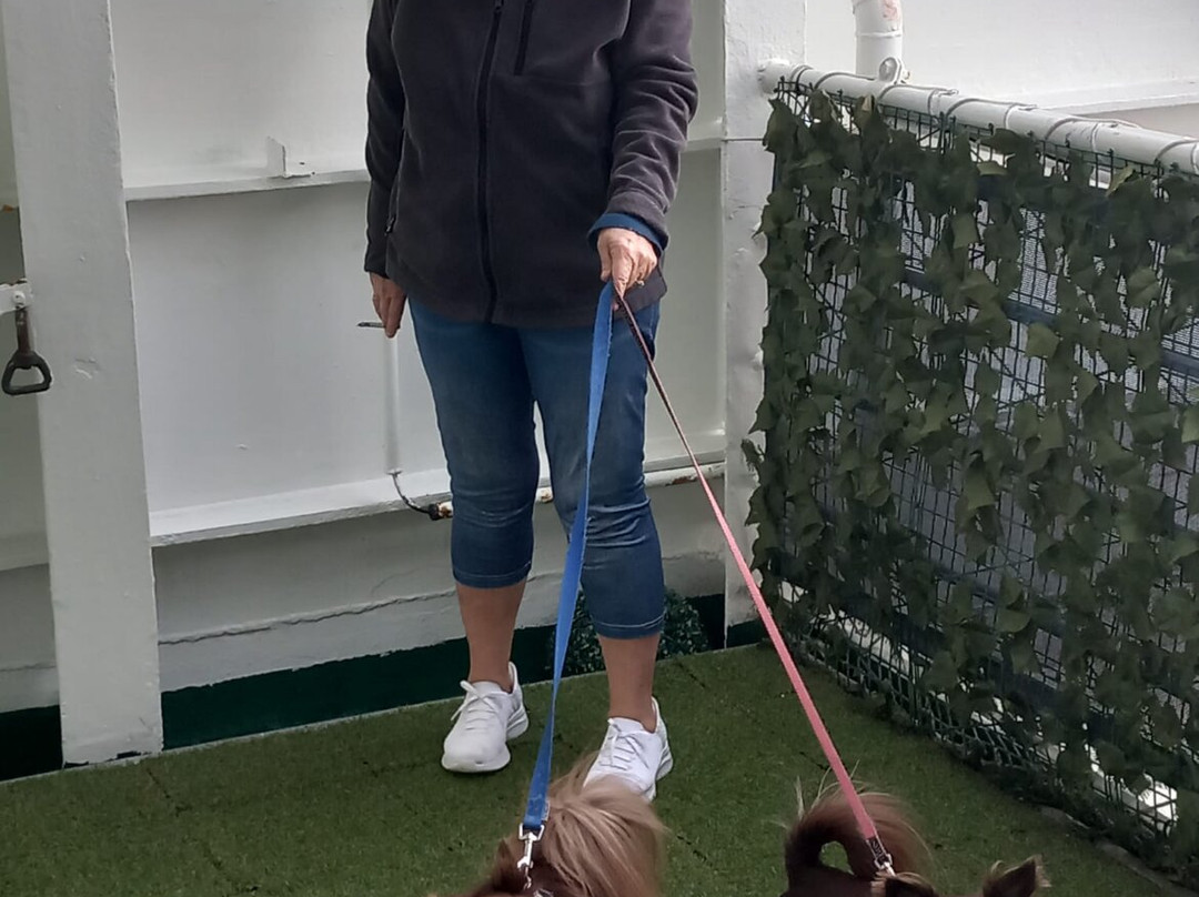 DFDS Seaways-Ijmuiden必去景点