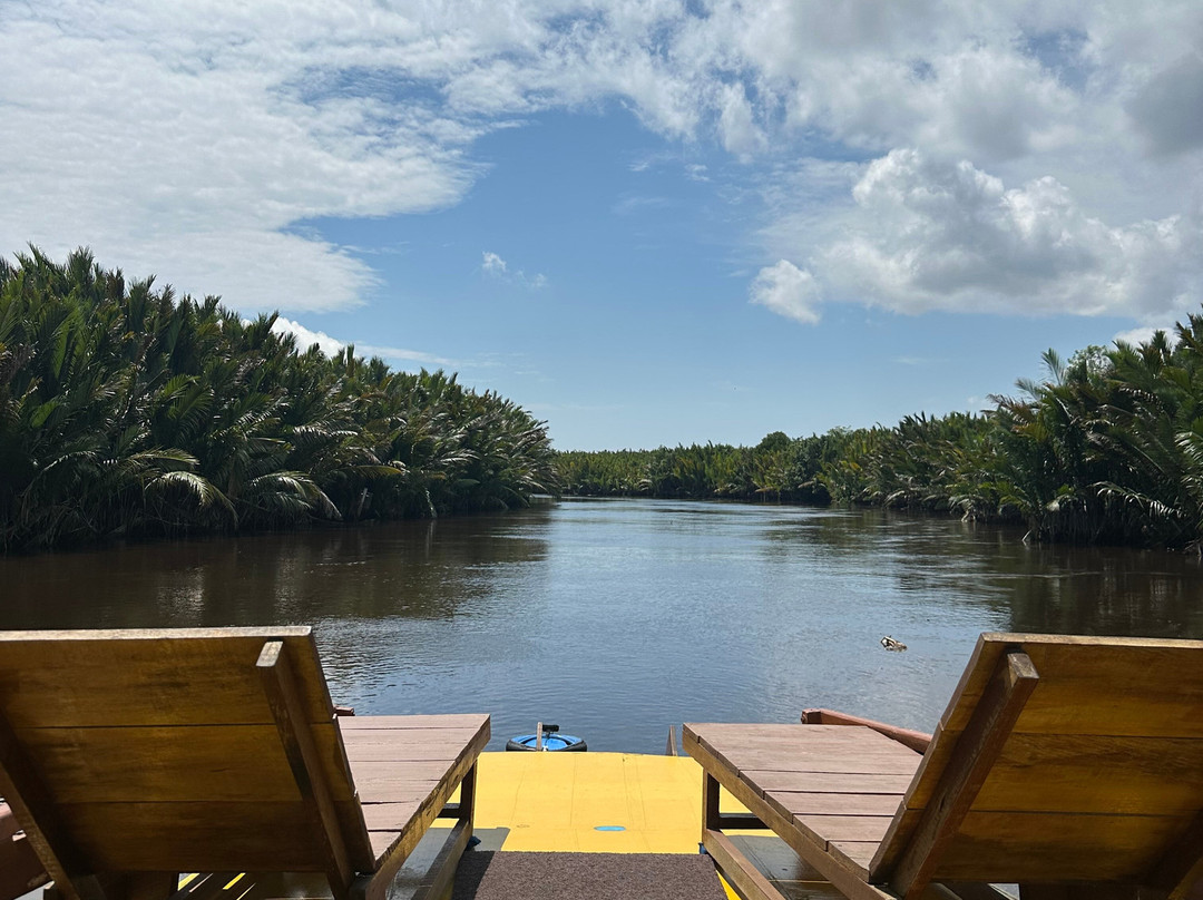Toris Orangutan Tour-Kumai必去景点