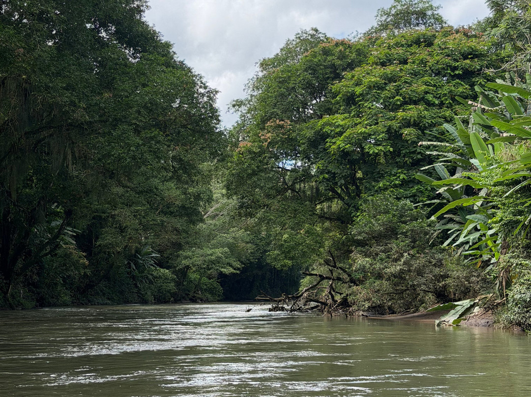 Serendipity Adventures-图里亚尔瓦必去景点