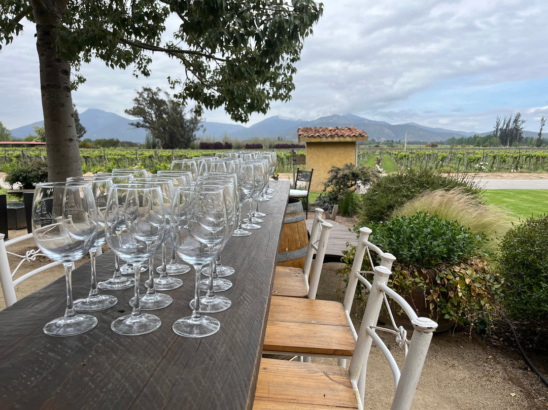 William Cole Vineyards-卡萨布兰卡必去景点