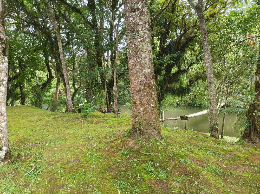 Hotel Fazenda Hidromineral Dorizzon主图