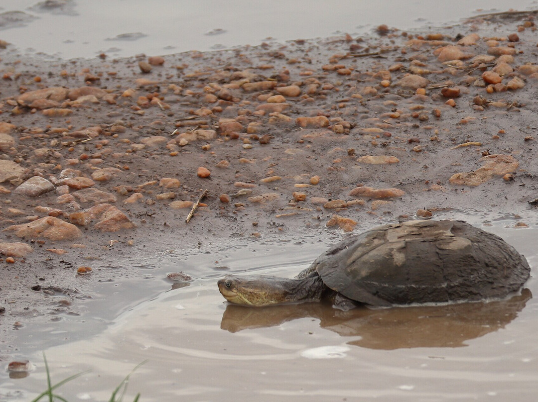 Mufasa Tours and Travels-内罗毕必去景点