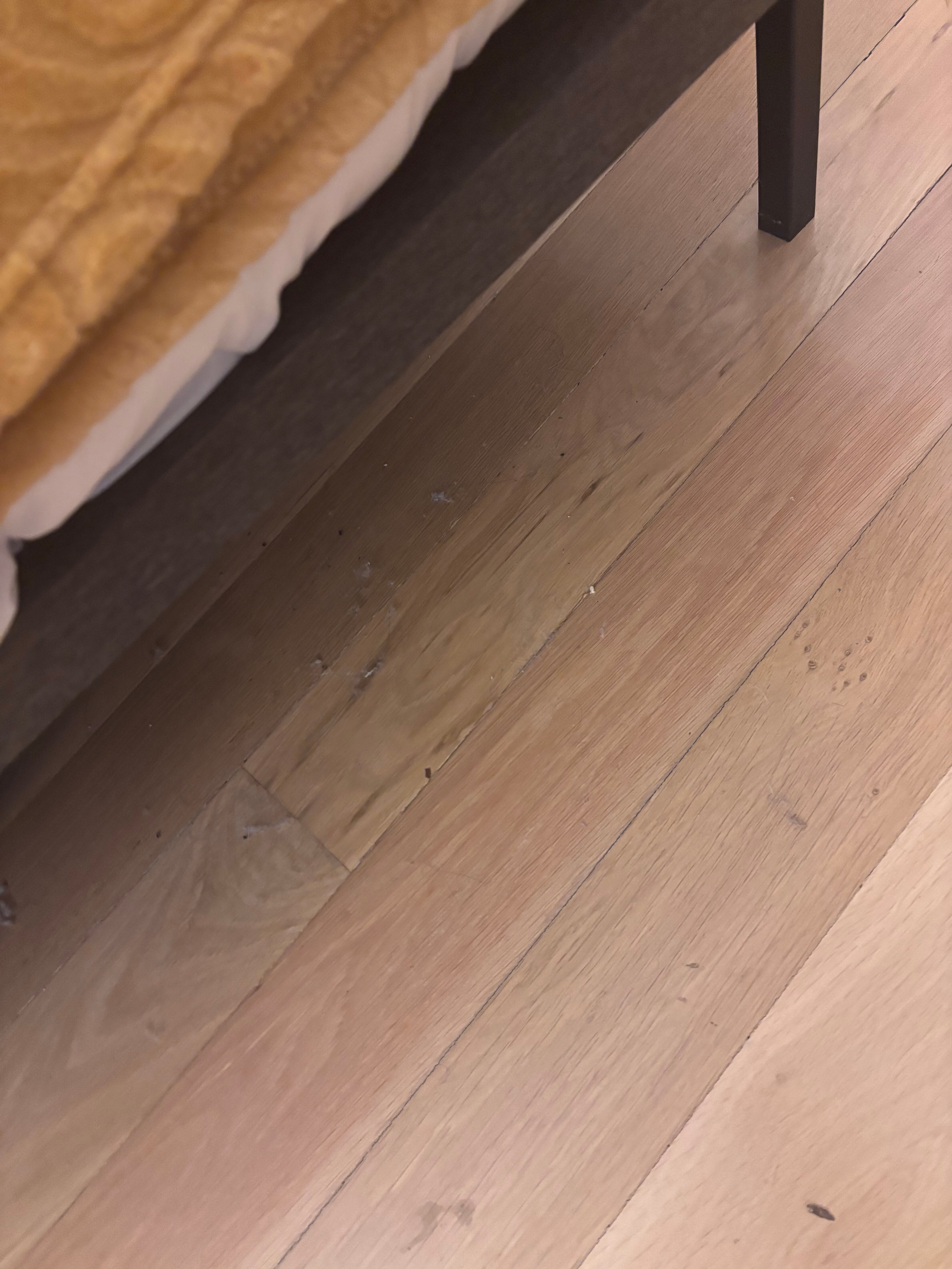 Hotel Cervaria-客卧