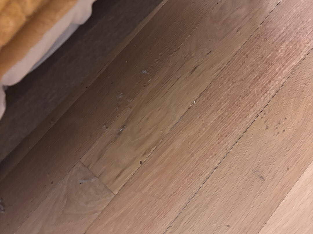 Hotel Cervaria主图