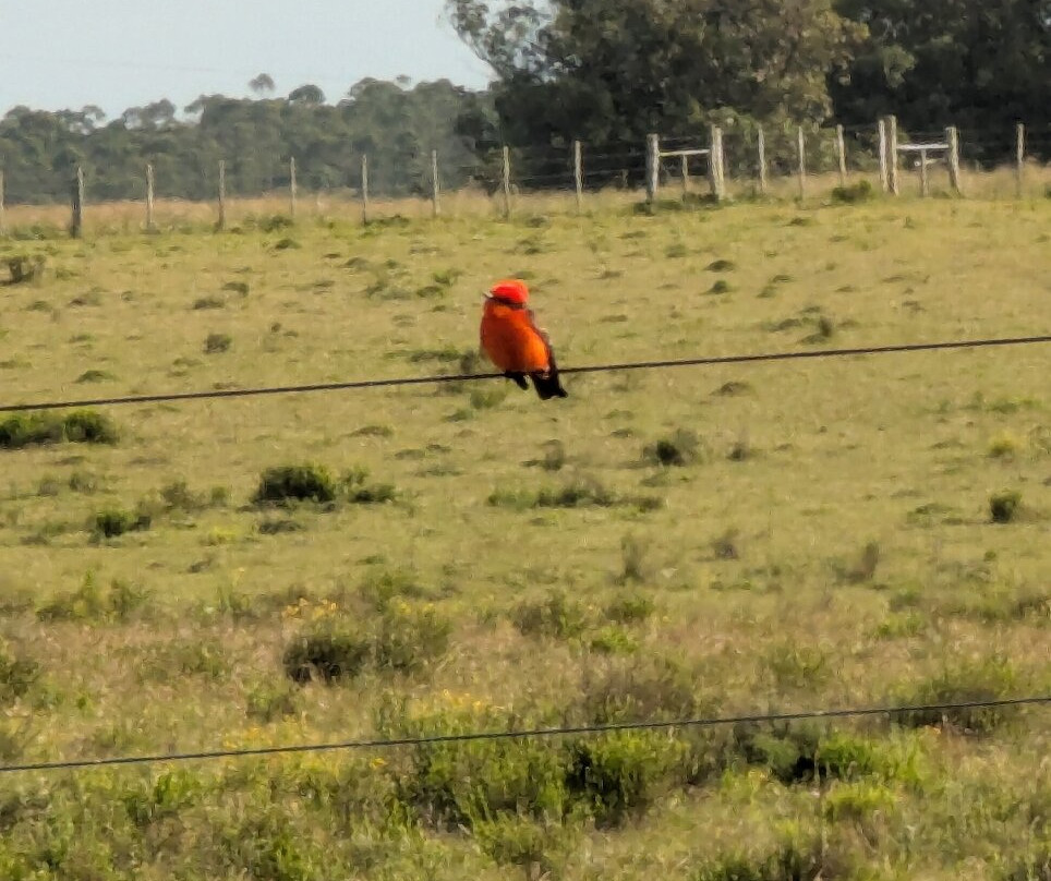 Jose Ignacio Bodega Oceanica-Jose Ignacio必去景点