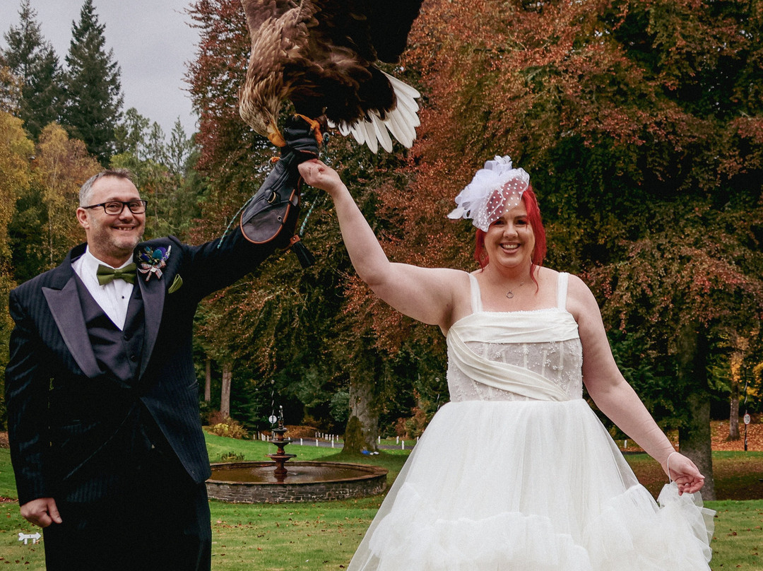 Elite Falconry-Kirkcaldy必去景点