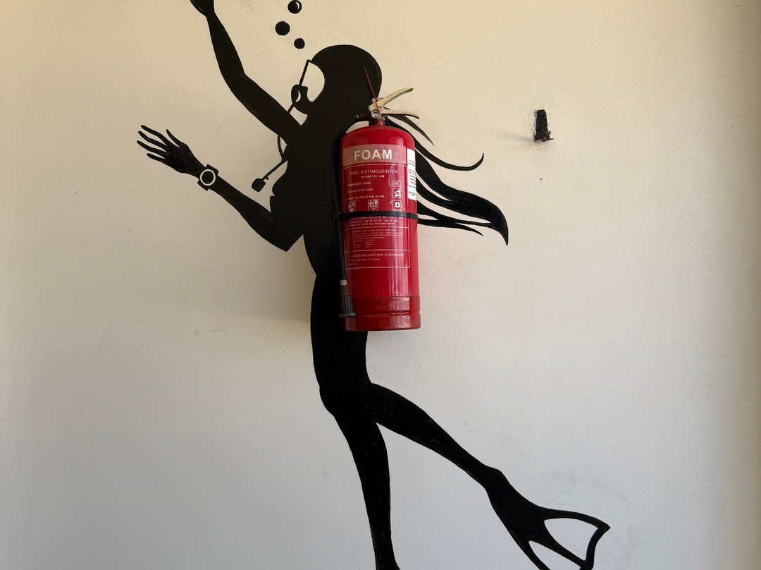 Rising Sun Dive Center-桑给巴尔岛必去景点