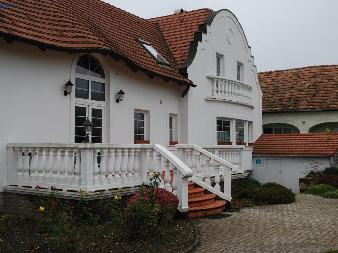 Rozalia Vendeghaz主图