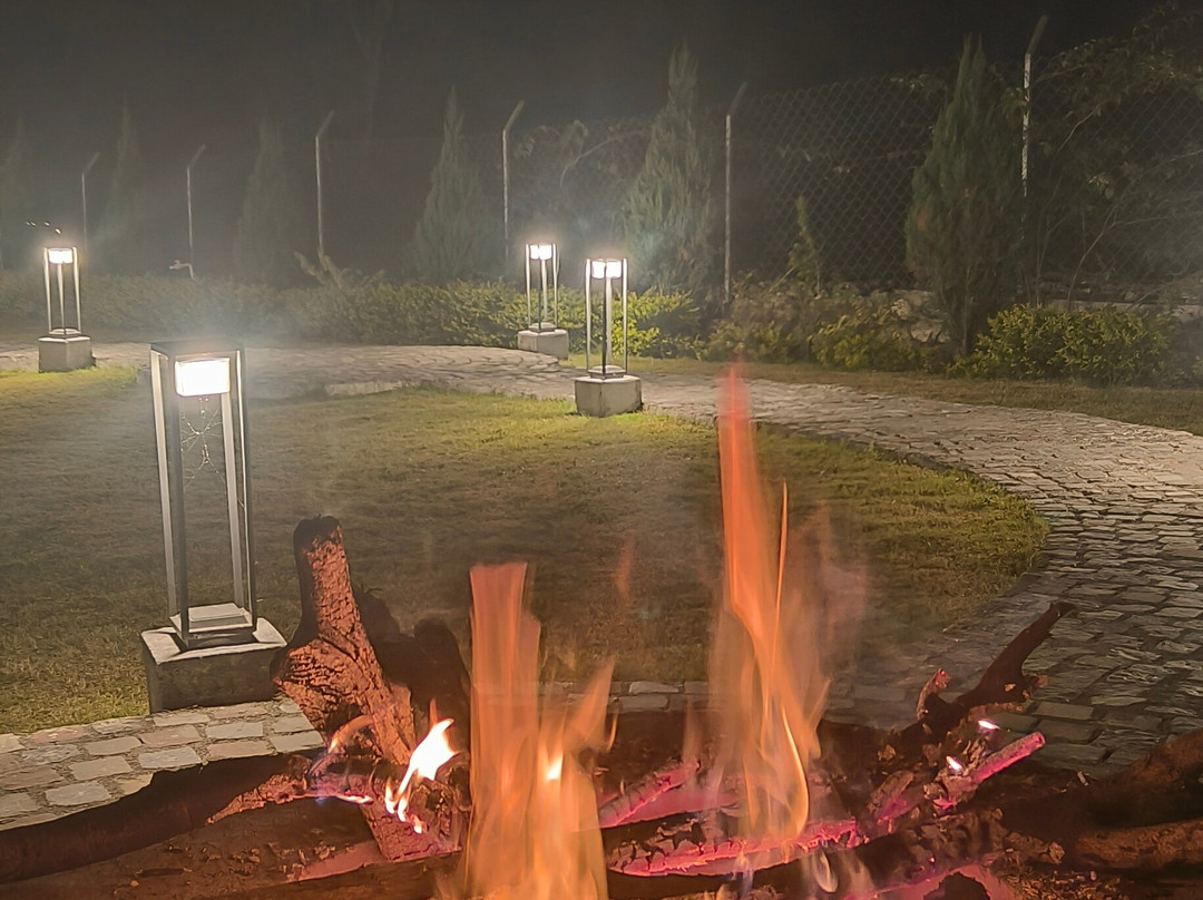 Aranyam River Retreat主图