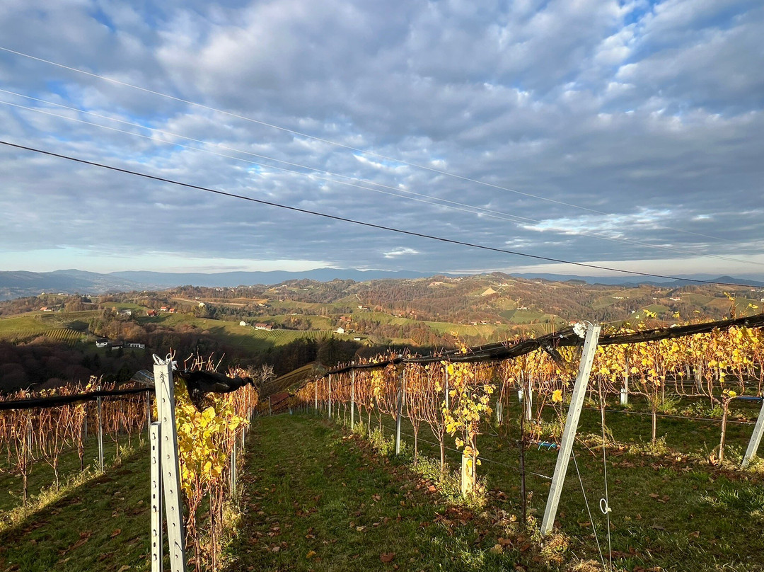 Wurzenberg Panorama Lodges Hotel Suedsteiermark主图