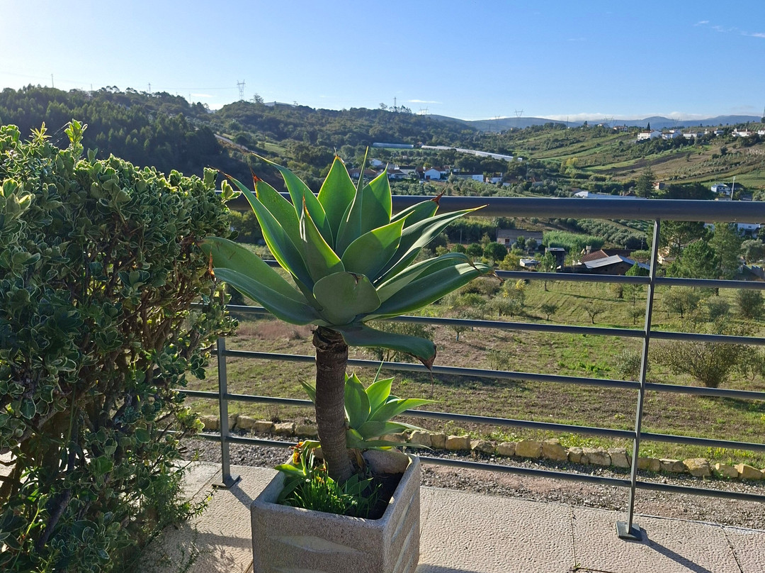 Casa Ceedina Bed & Breakfast & Beauty主图