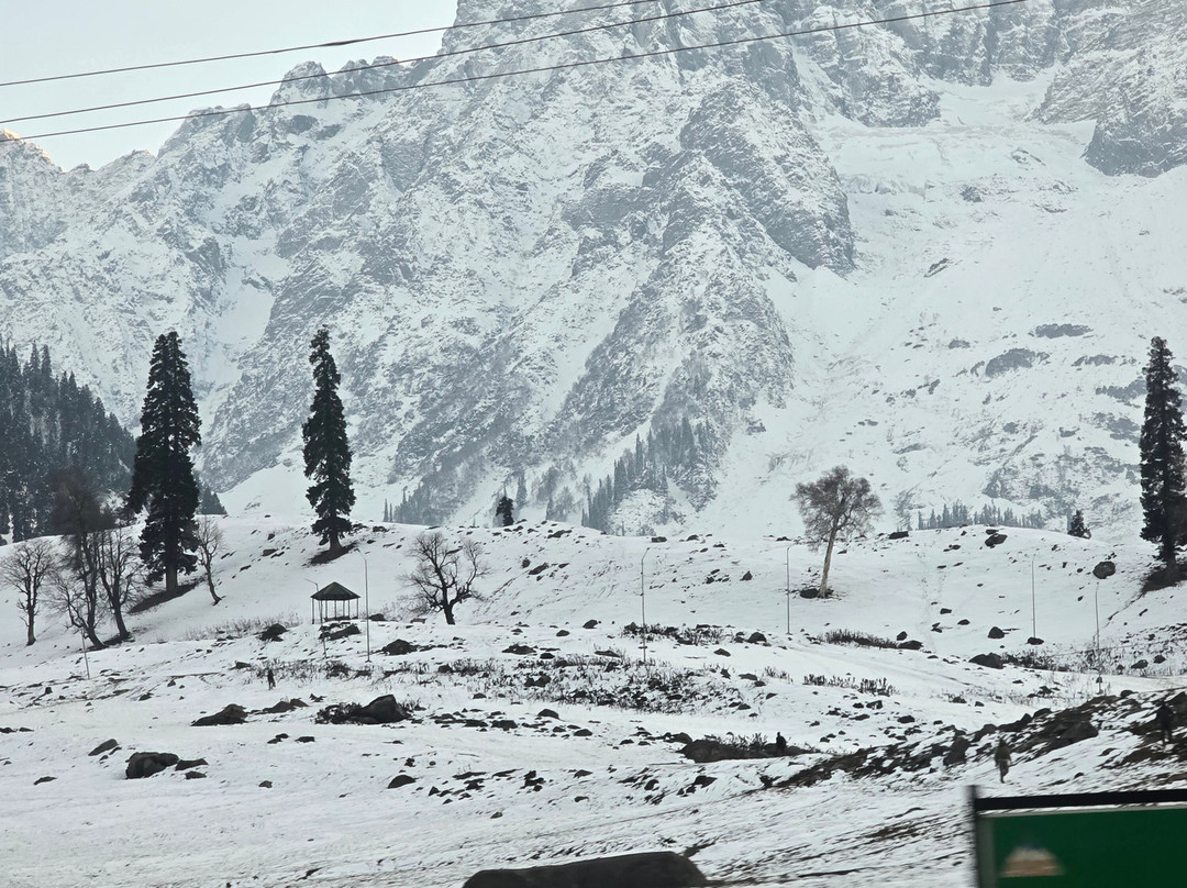 Lemon Tree Hotel, Sonamarg主图