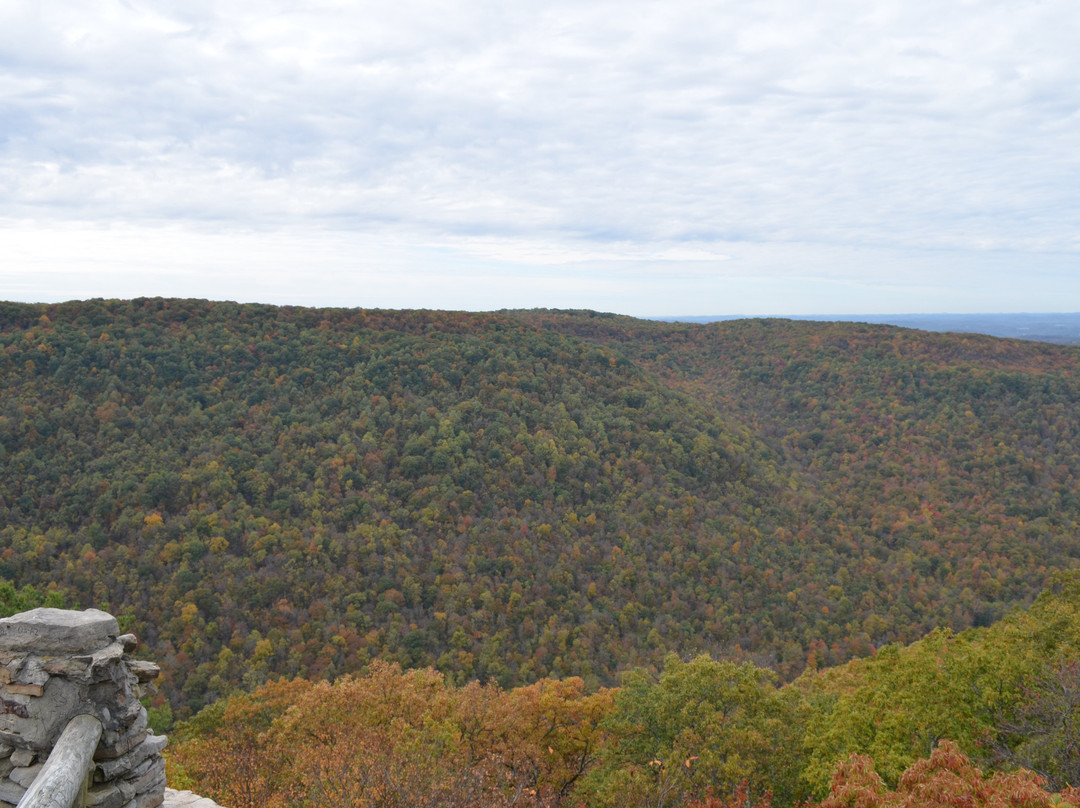 Coopers Rock State Forest-Bruceton Mills必去景点