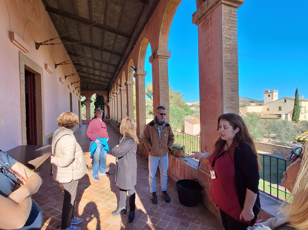 Masia d'en Cabanyes-比利亚努埃瓦－赫尔特鲁必去景点