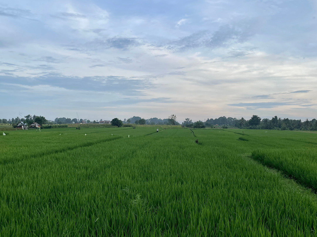 One Fit Wellness - Bali-Mambal必去景点