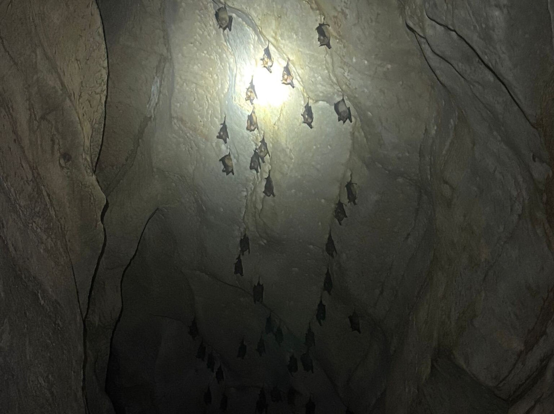 考迈卡维洞穴-兰塔岛必去景点