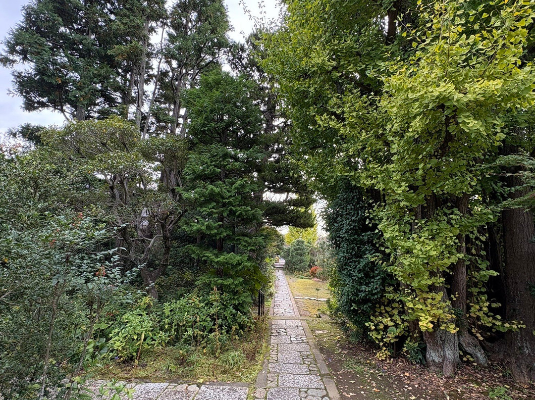 Jorakuji Temple-镰仓市必去景点