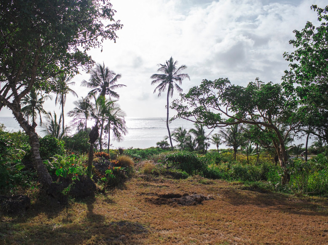 Sandarusi House主图