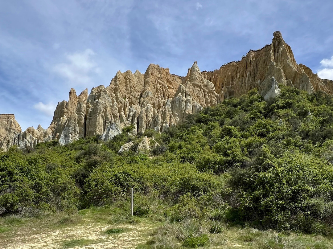 Cycle Journeys Twizel-特威泽尔必去景点