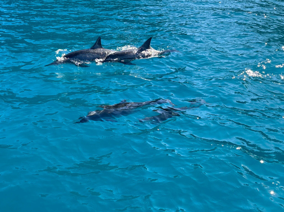 Catamaran Kahanu-埃里埃利必去景点