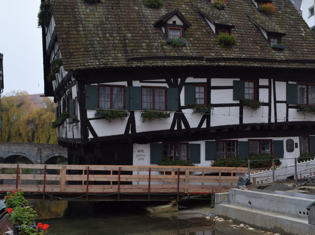 The Leaning House-乌尔姆必去景点