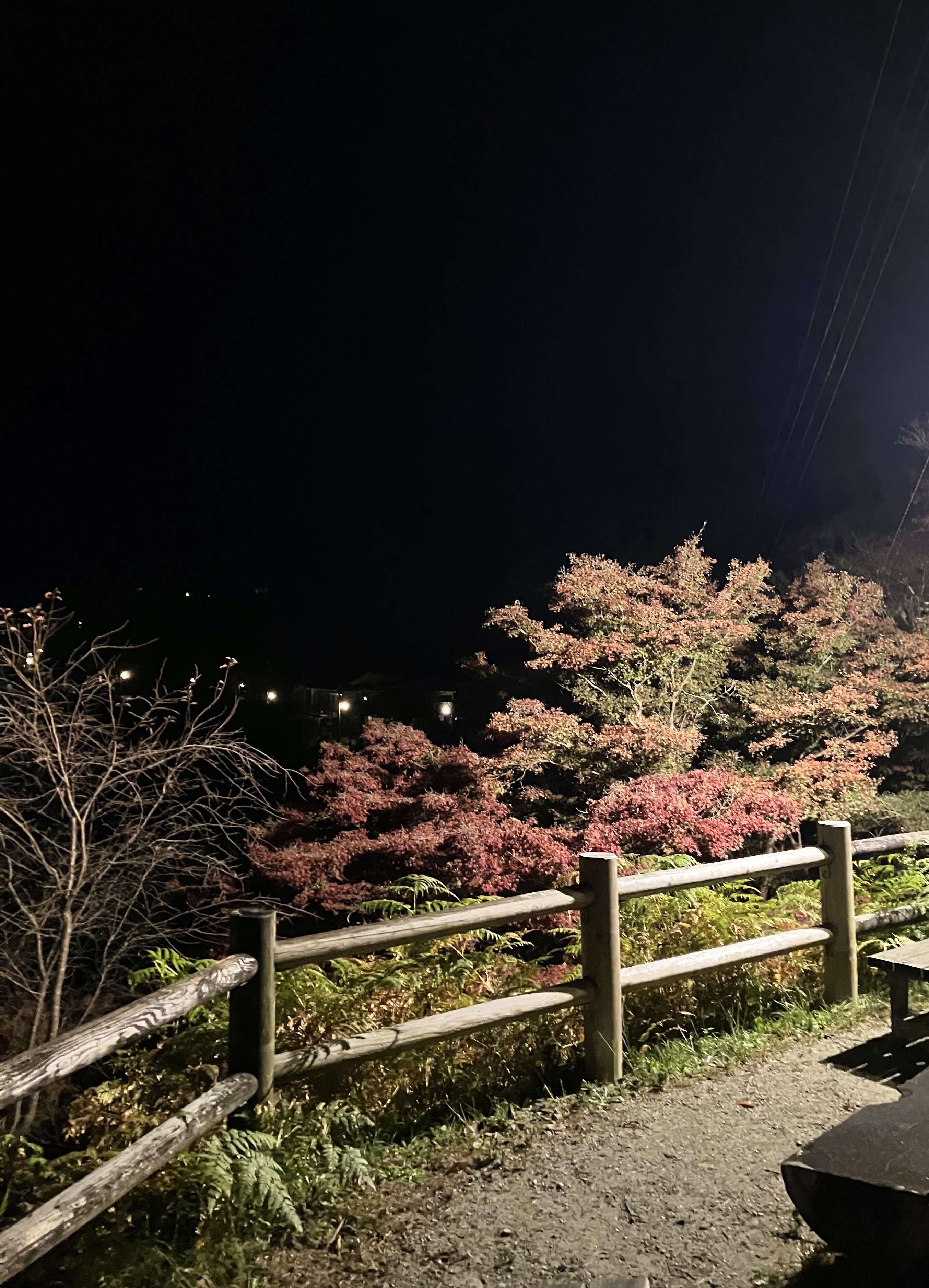 奈良竹林院群芳园-官方