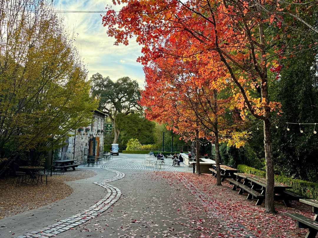 Buena Vista Winery-索诺玛必去景点