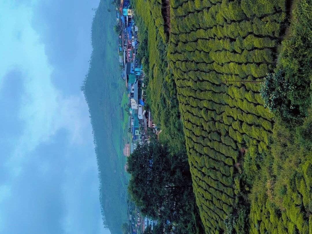 Kerala Holidays-柯钦必去景点