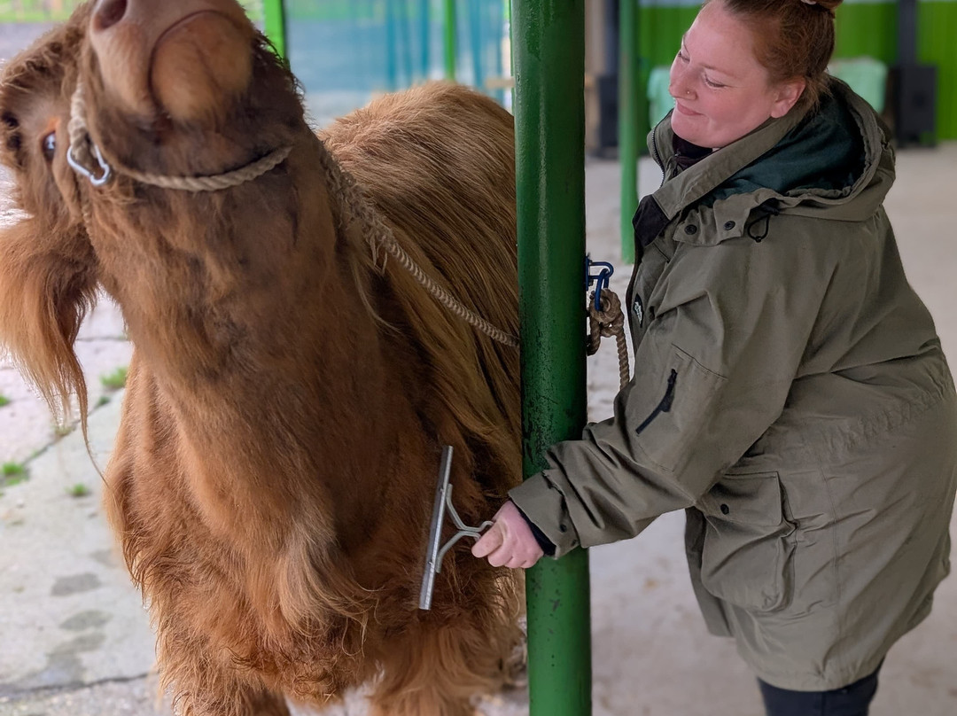 Dumble Farm-比弗利必去景点