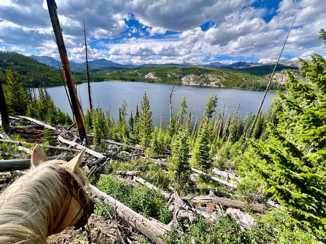 Skyline Guest Ranch and Guide Service主图