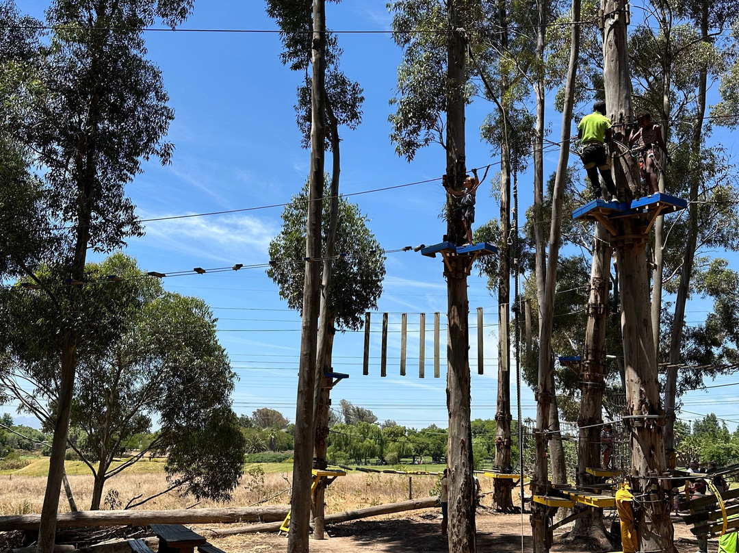 Acrobranch Stellenbosch-斯泰伦博斯必去景点