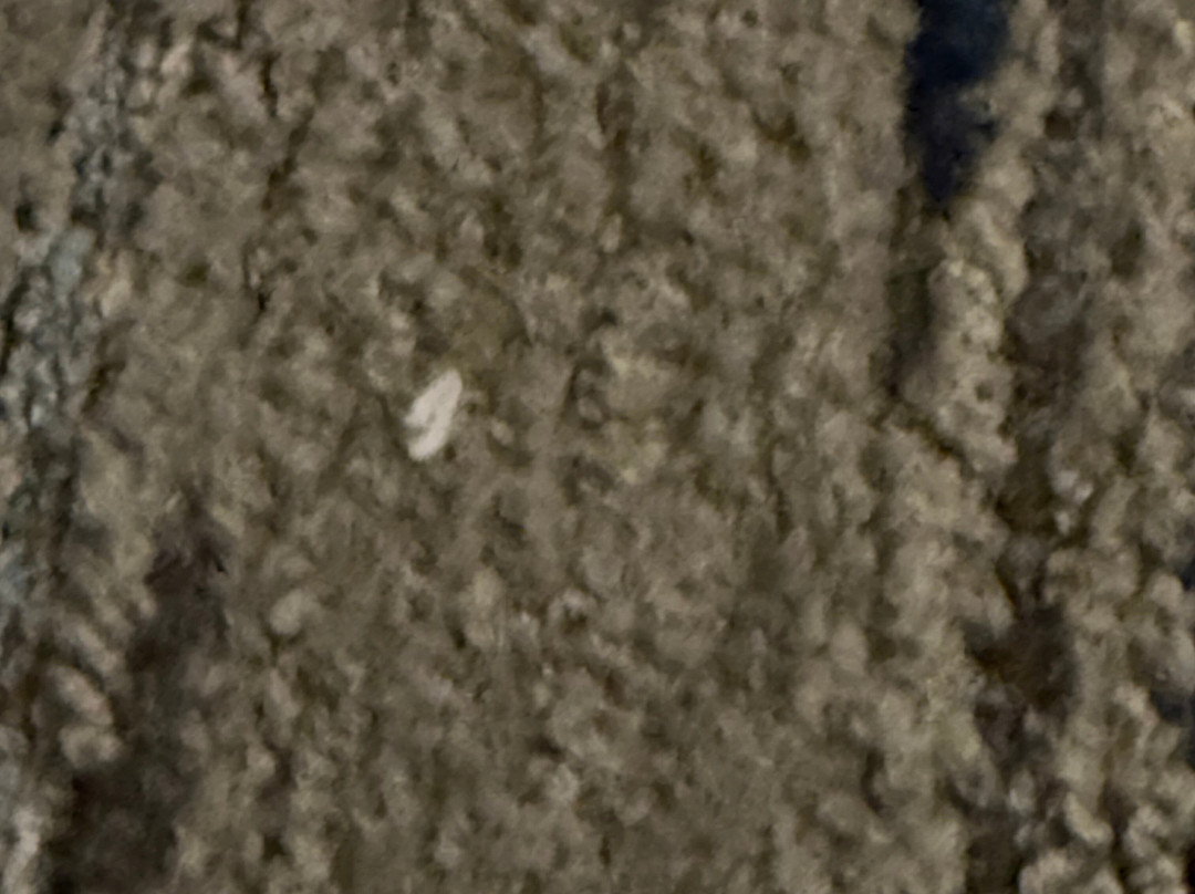 Holiday Inn Express & Suites Texarkana By IHG主图