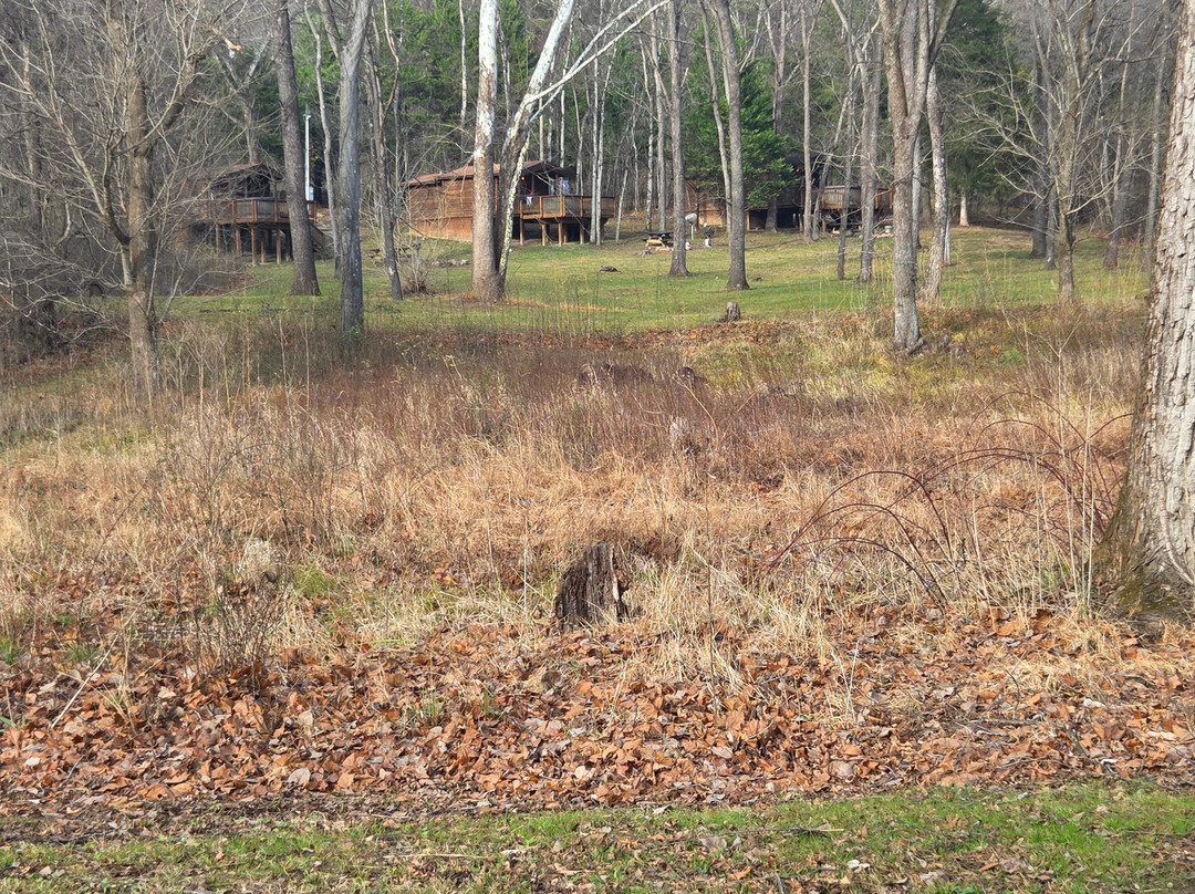 Shenandoah River Outfitters-卢雷必去景点