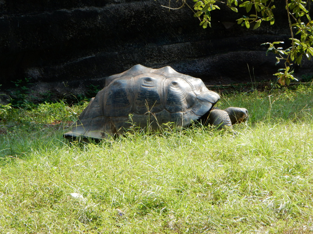 Baton Rouge Zoo-巴吞鲁日必去景点