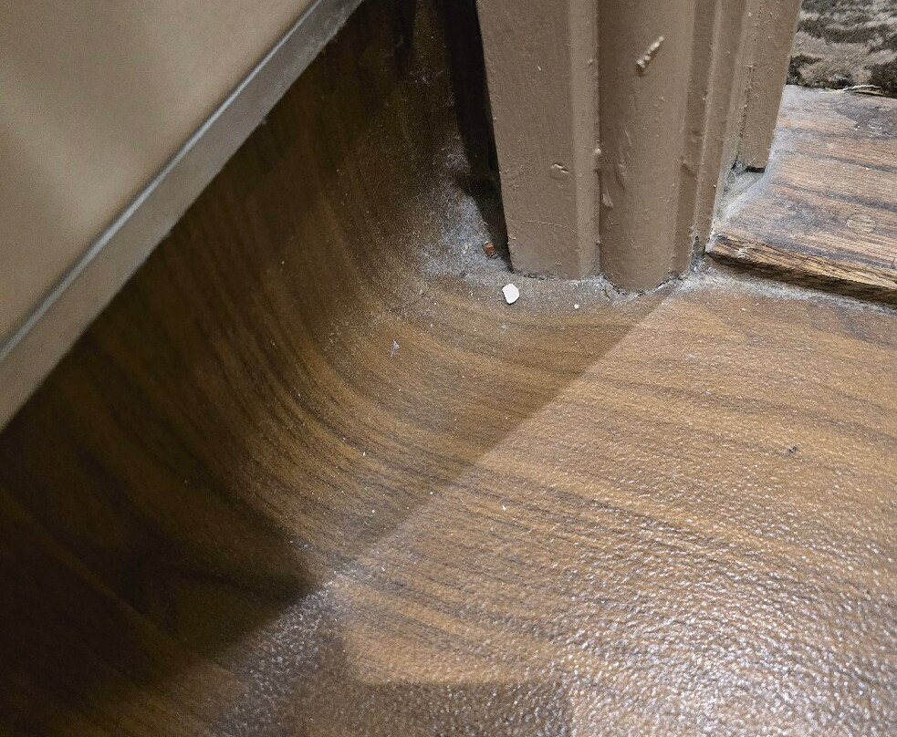 The Bull Hotel主图